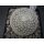 Mammillaria lenta 5cm wurzelecht !!