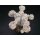 Astrophytum Japan Hybride ( Snow ) 9cm!