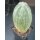 Euphorbia obesa gro&szlig;e Pflanze10,5cm !