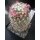 Mammillaria boolii 7cm  / wurzelecht !